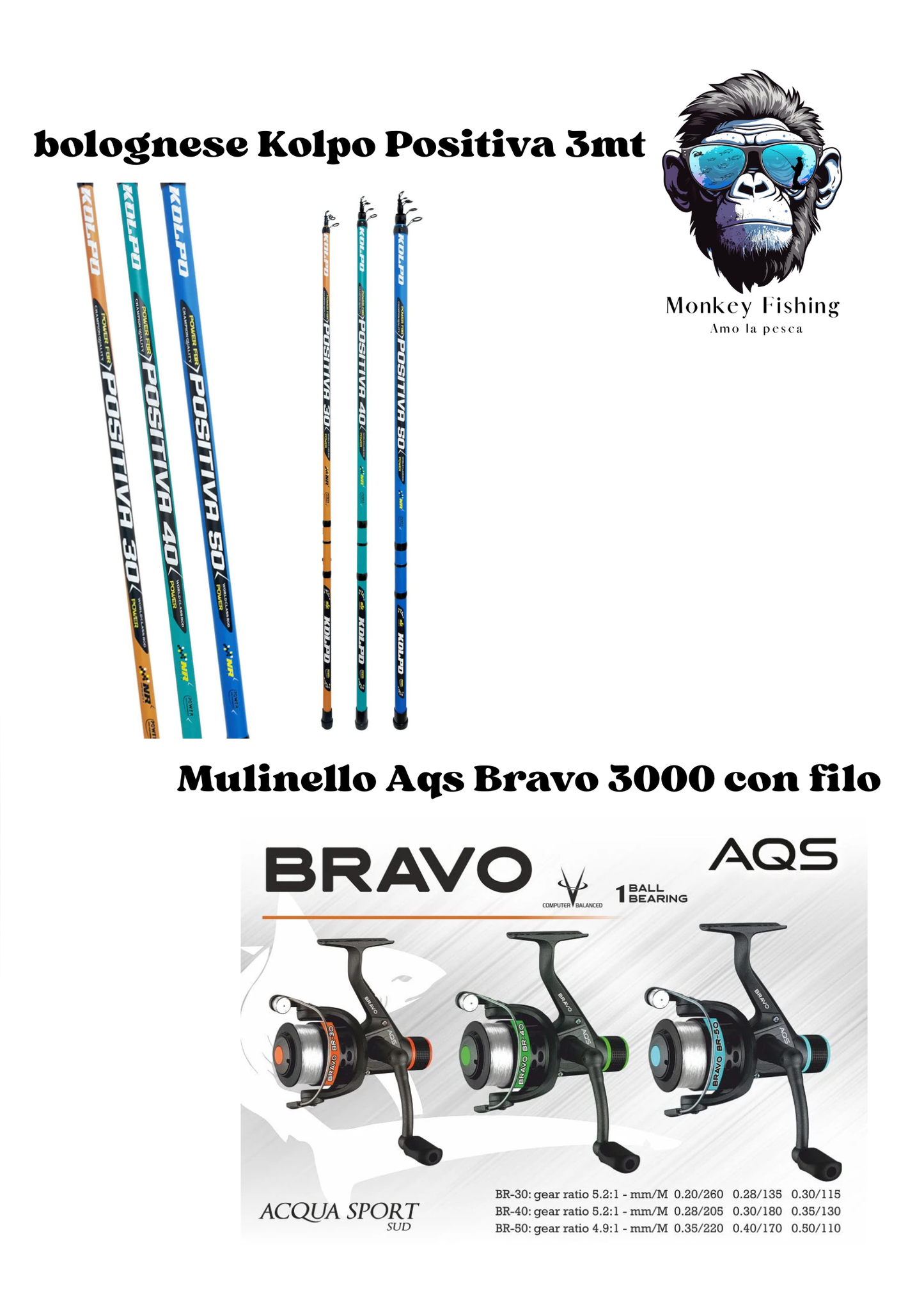 Combo Bolognese Kolpo Positiva 5mt + Mulinello Aqs Bravo 3000 con filo