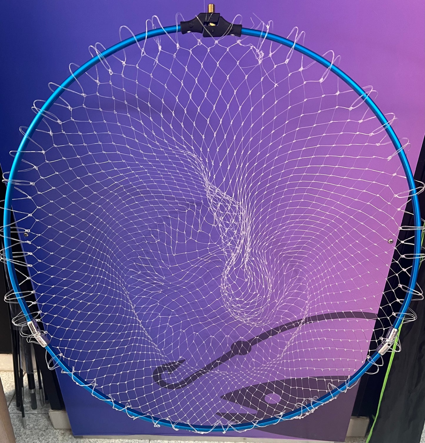 Kalikunnan Testa Guadino Richiudibile Nylon da 55cm