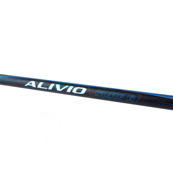 Shimano Canna Alivio Surf T 425 BX-G 4,25m 225g