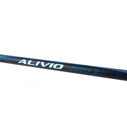 Shimano Canna Alivio Surf T 425 BX-G 4,25m 225g