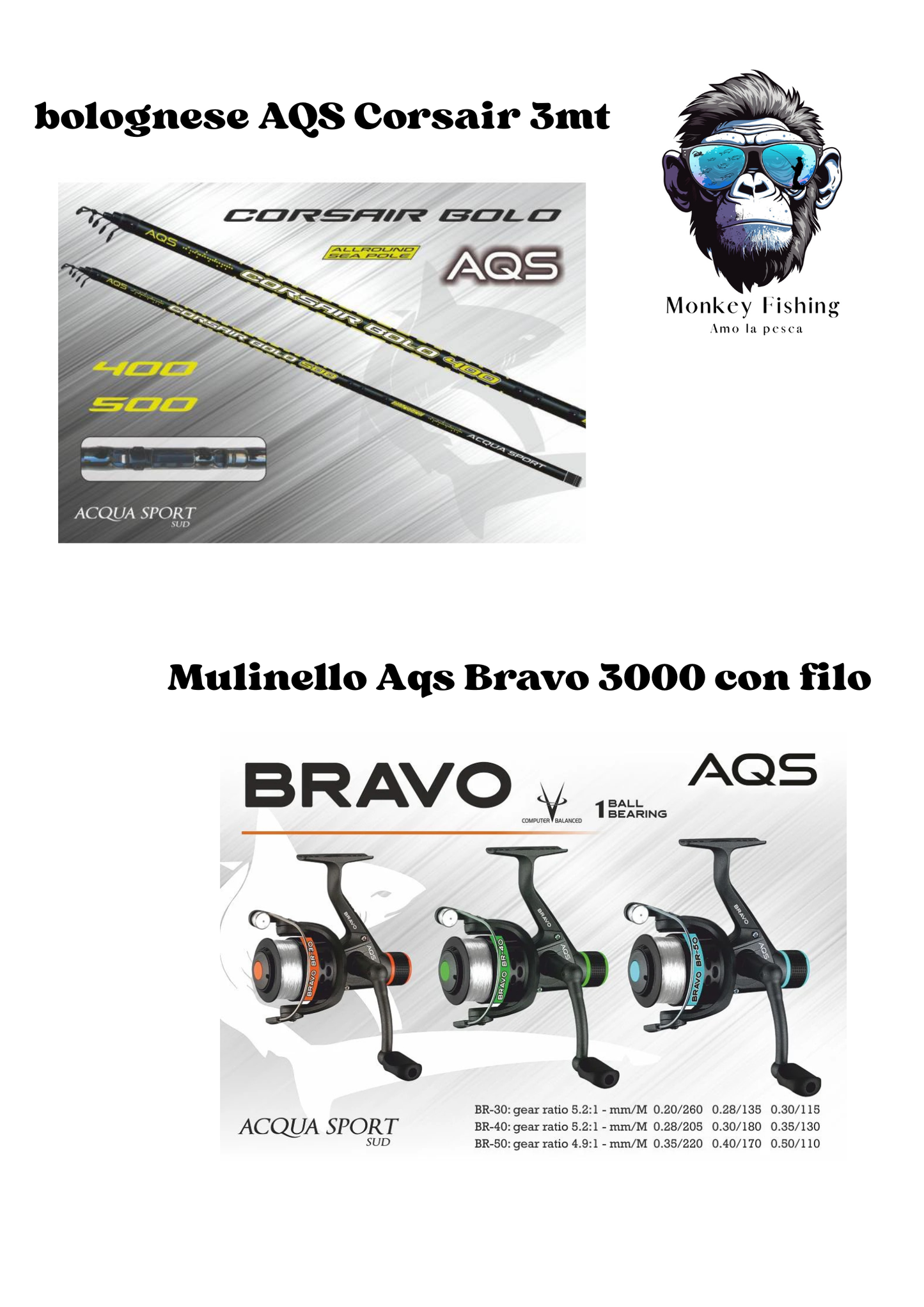 Combo Bolognese Aqs Corsair J 3mt + Mulinello Aqs Bravo 3000 con filo