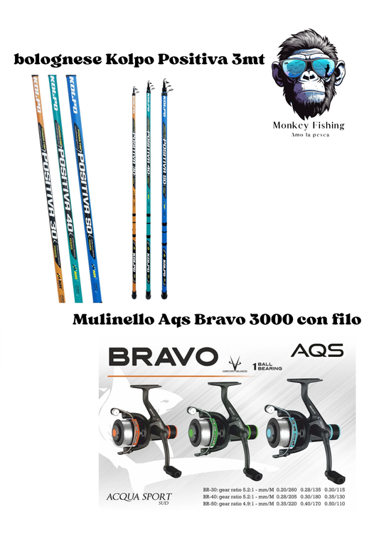 Combo Bolognese Kolpo Positiva 3mt + Mulinello Aqs Bravo 3000 con filo