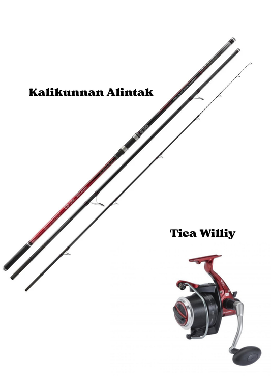 Kalikunnan Alnitak + Tica Willy 3000