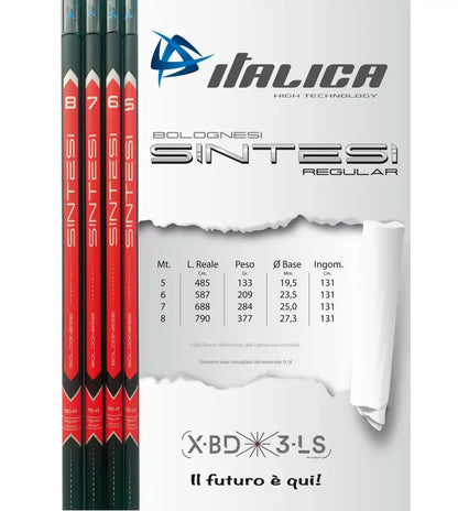 Italica Bolognese Sintesi Regular-Power